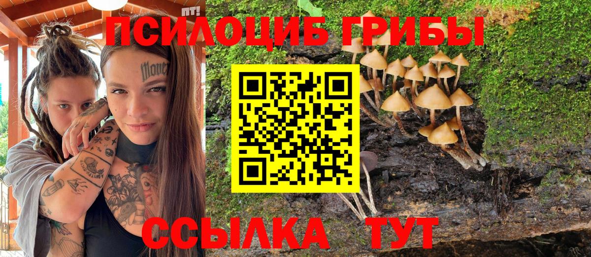 Псилоцибиновые грибы GOLDEN TEACHER Тулун