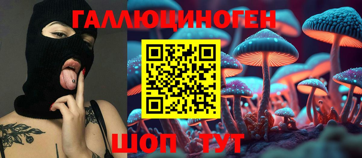 Псилоцибиновые грибы Psilocybe  Вход с VPN  Тулун 